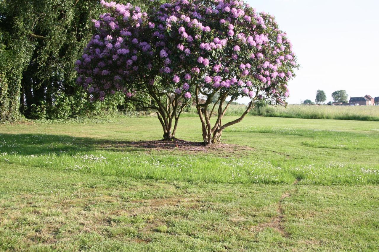 De Rankhove Bed and Breakfast Herne Εξωτερικό φωτογραφία